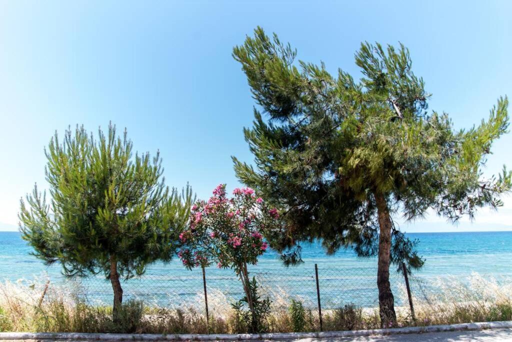 Seafront 2 Bedrooms Apartment Nea Iraklia Dış mekan fotoğraf