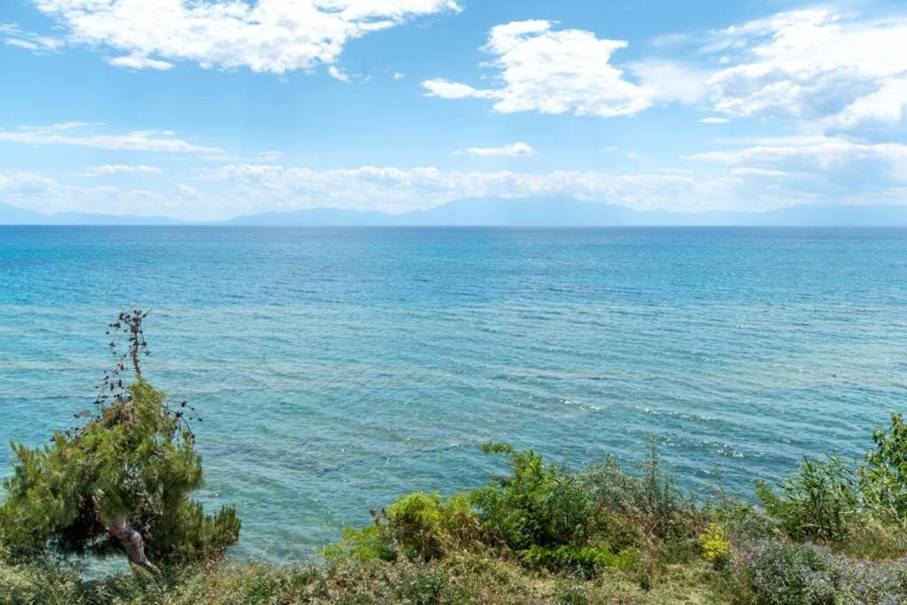 Seafront 2 Bedrooms Apartment Nea Iraklia Dış mekan fotoğraf