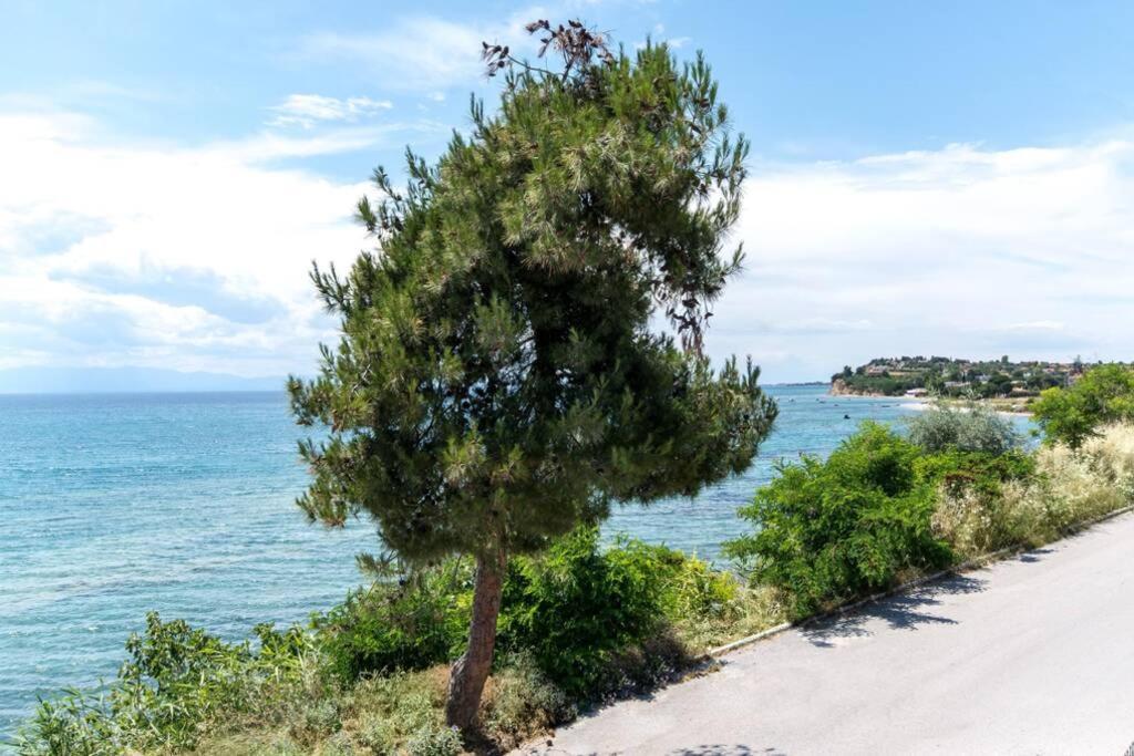 Seafront 2 Bedrooms Apartment Nea Iraklia Dış mekan fotoğraf