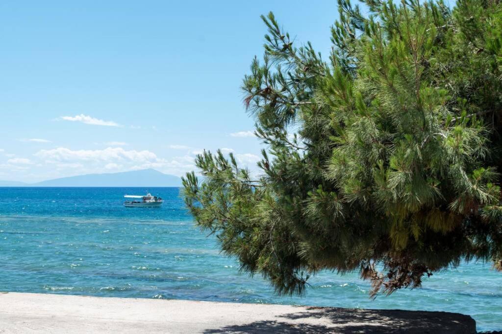 Seafront 2 Bedrooms Apartment Nea Iraklia Dış mekan fotoğraf